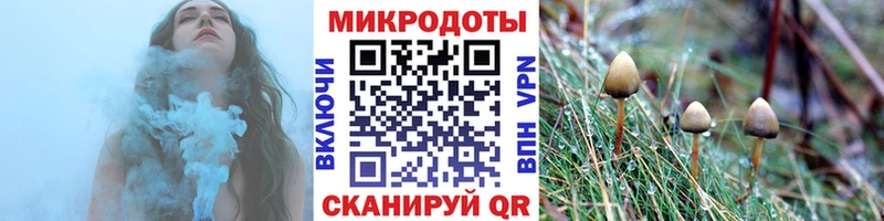 Галлюциногенные грибы Magic Shrooms  Комсомольск-на-Амуре 